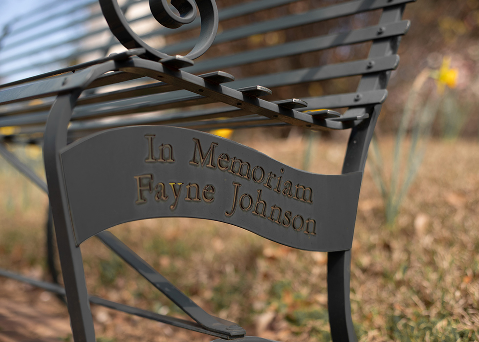 Bench featured image